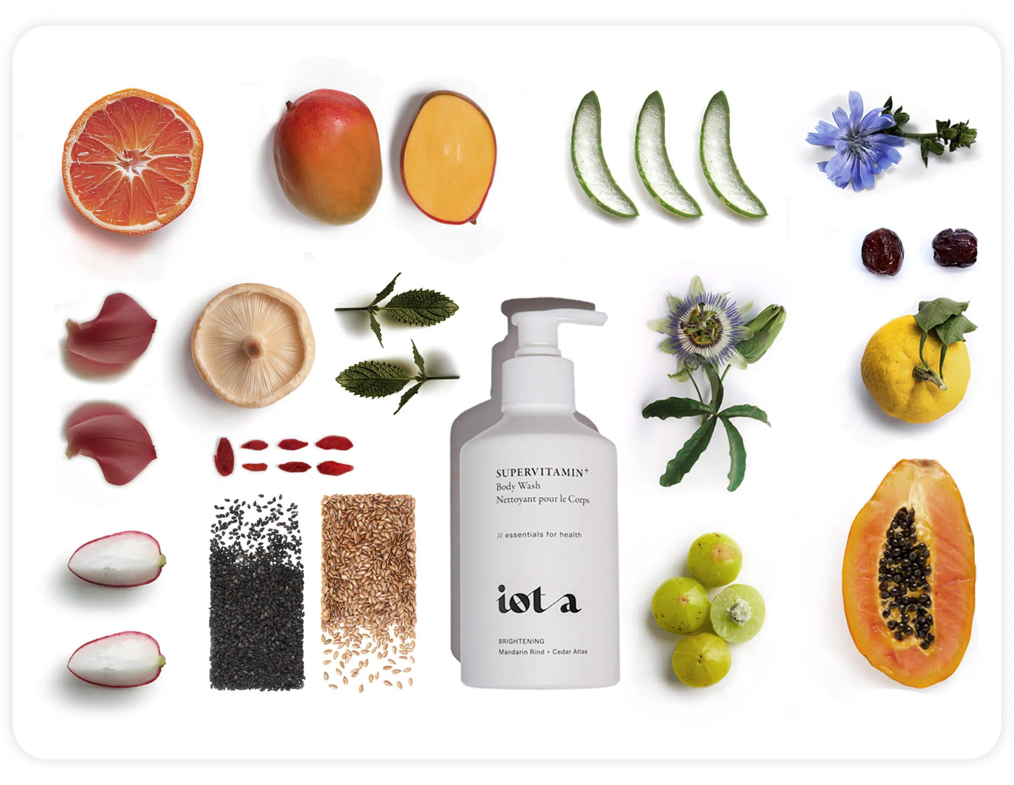 The Body Wash Trio | iota