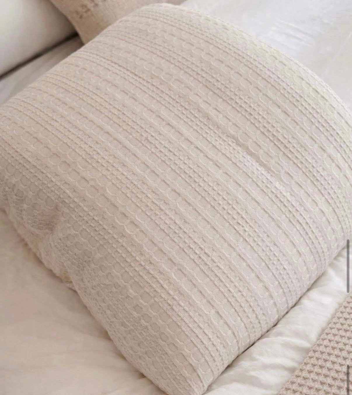 ✨ My textured all-season comforter was included in the new sale that started yesterday, and so many of you grabbed it too! 🙌

This has been one of my favorite bedding finds. It’s the perfect neutral, incredibly soft, and has that luxury hotel bedding feel without the luxury price tag.

✨ Soft textured design
✨ Perfect year-round weight
✨ Neutral color that works with almost any bedroom
✨ Looks far more expensive than it is
✨ Includes a 1-year warranty

If you’ve been thinking about upgrading your bedding, this is definitely one of my most recommended bedding finds.

#LTKSaleAlert #LTKHome