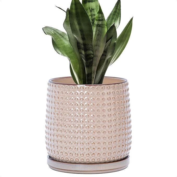 D'vine Dev 6 Inch Ceramic Beaded Stoneware Planter Pot - Flower Pot with Drainage Holes and Sauce... | Amazon (US)