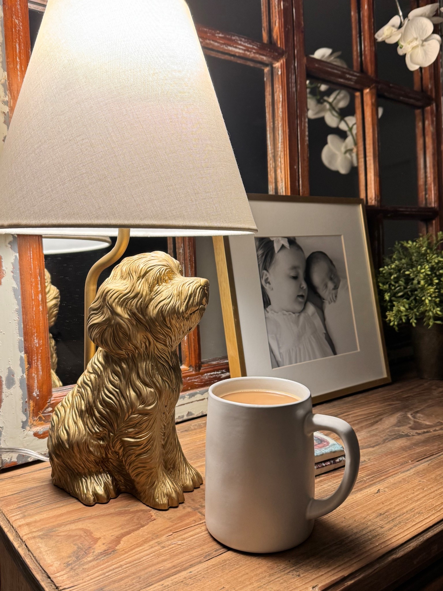Obsessed with this doodle lamp. Linked my exact one and another option