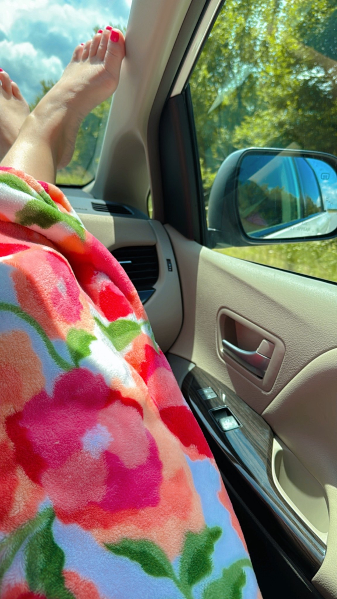 The best travel blanket. 

#LTKHome #LTKSeasonal #LTKSummerEdit