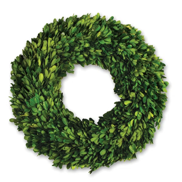 Preserved Greenery Wreath | Wayfair North America