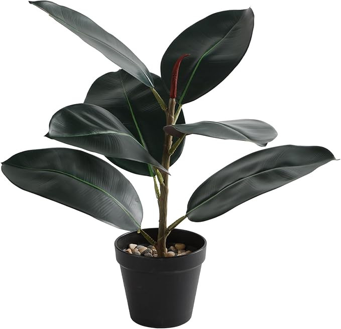 Artificial Rubber Tree - 16" Tall Faux Ficus Elastica Plant with Pot - Small Indoor Fake Tree for... | Amazon (US)