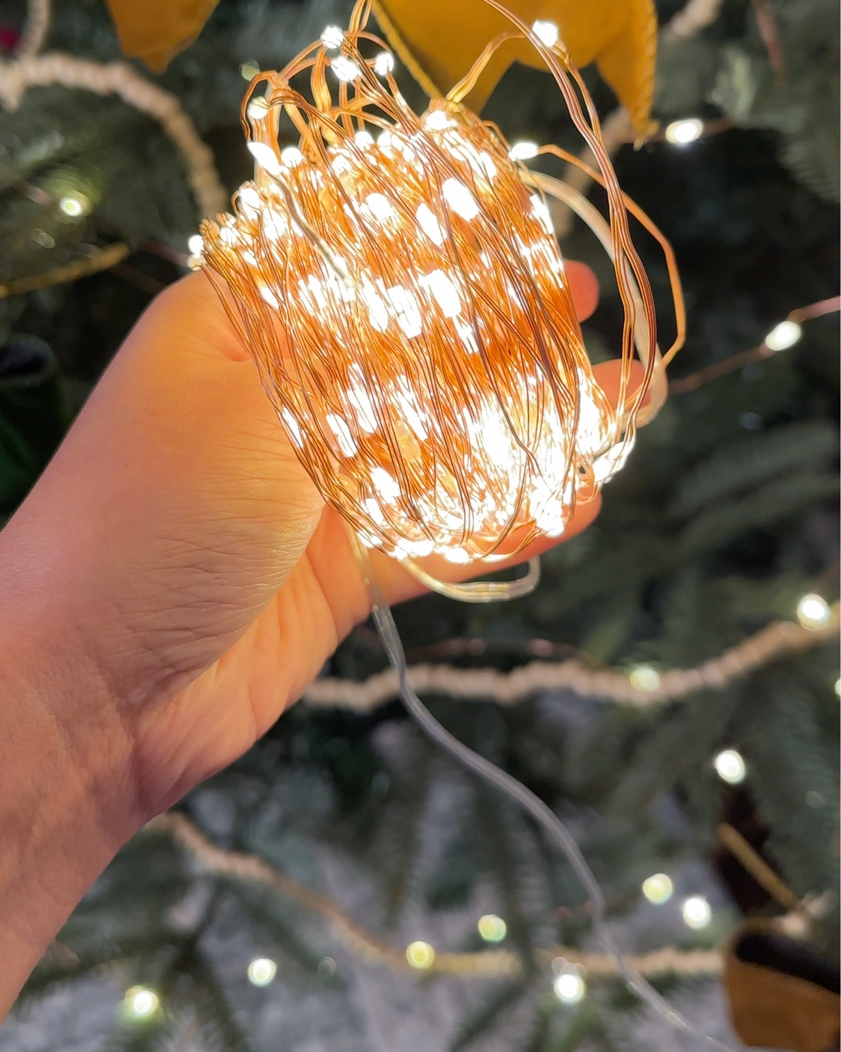 These twinkle lights are currently
On deal for $10! Perfect for holiday decor! 

#LTKHome #LTKHoliday #LTKSeasonal