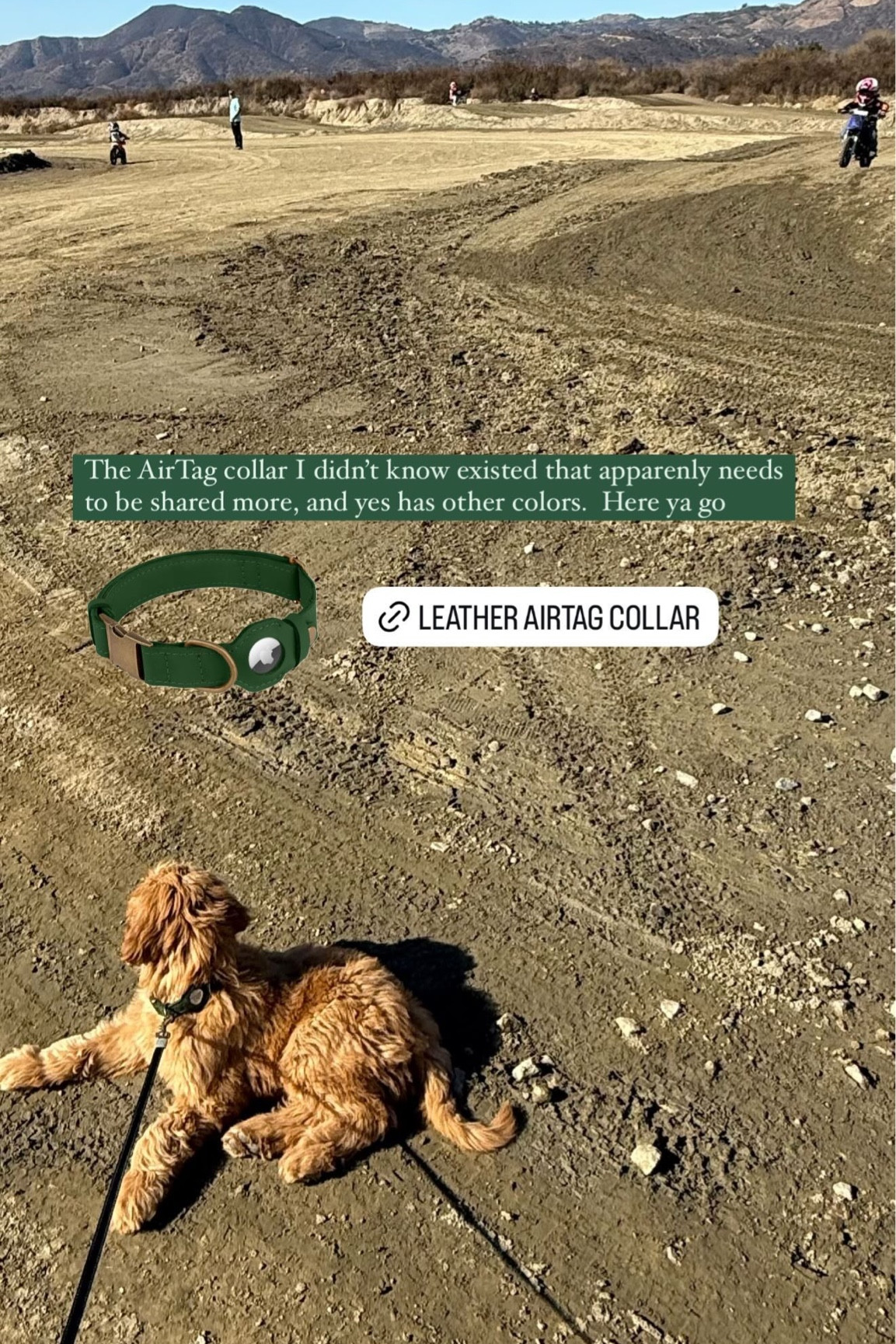 The AirTag collar I didn’t know existed that apparenly needs to be shared more, and yes has other colors.  Here ya go