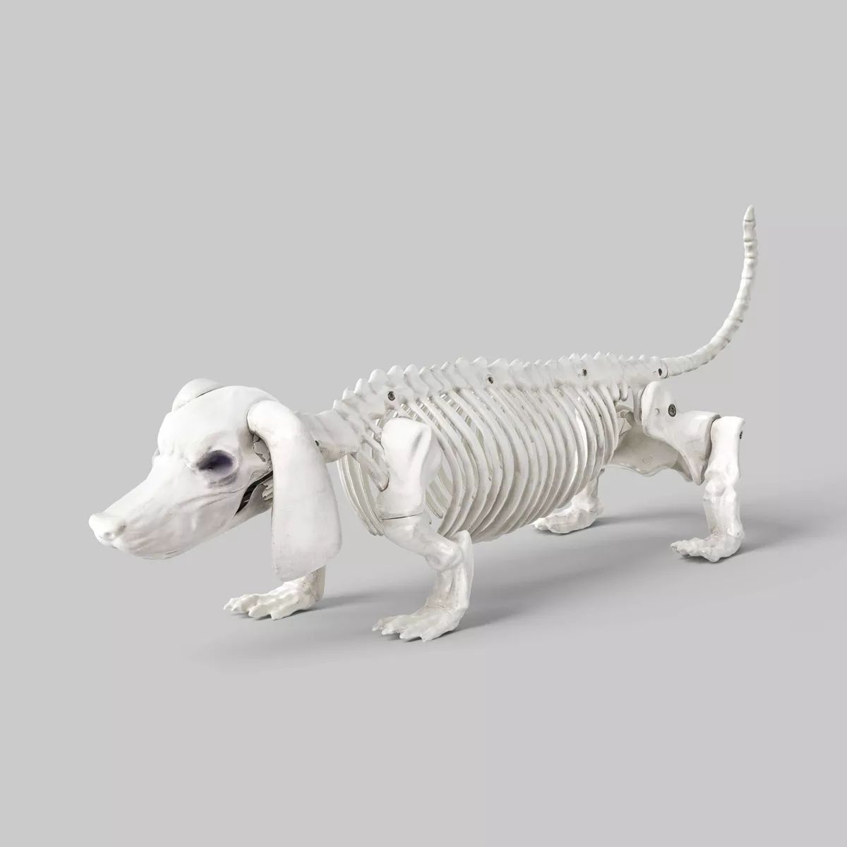 Dachshund Skeleton Halloween Decorative Prop - Hyde & EEK! Boutique™ | Target