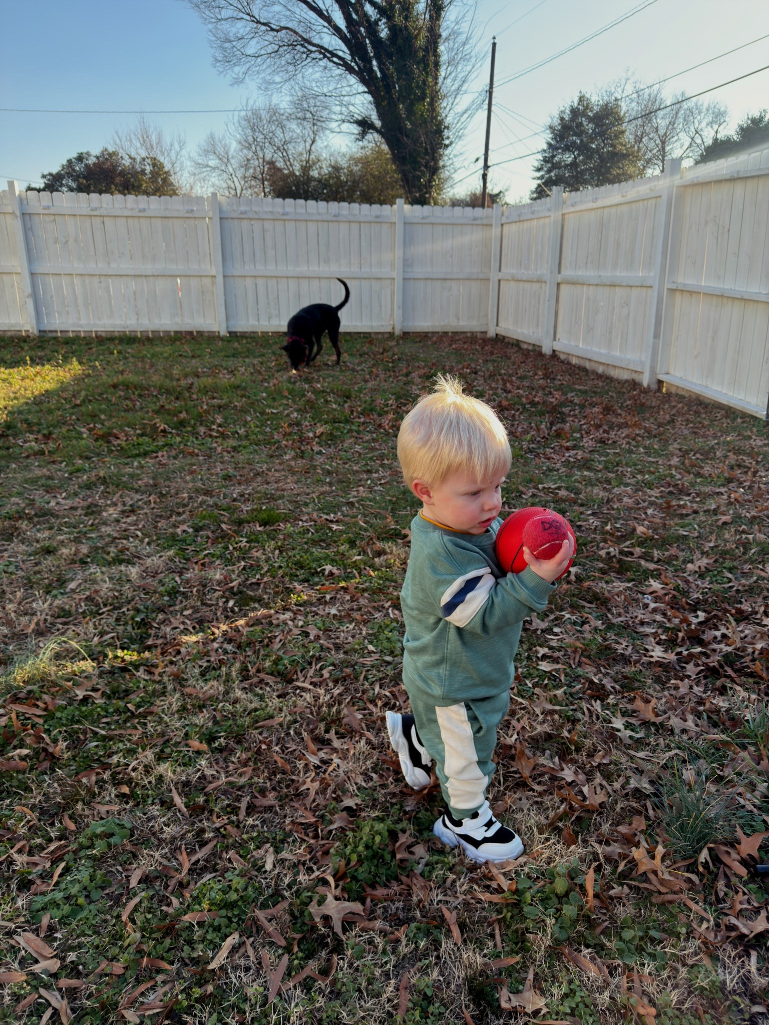 New kicks for the new year, toddler edition 👟 

#LTKFindsUnder50 #LTKKids #LTKmomlife