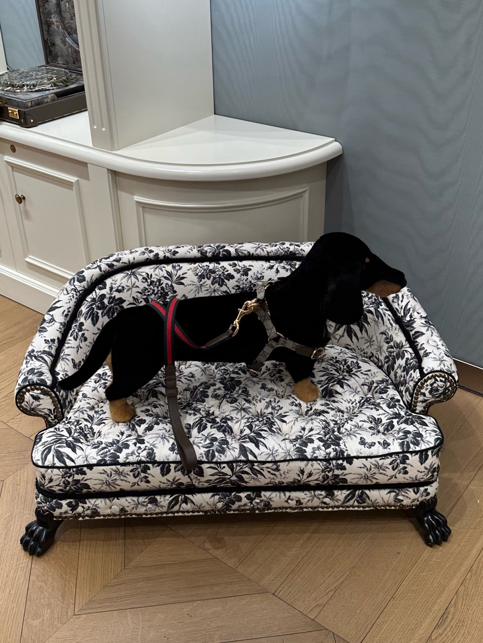 Designer pet for fur babies by Gucci for home and design. Design your home with Gucci pet bed, pet collar, pet leash, pet harness #petgift #luxurypet

#LTKGiftGuide #LTKhome