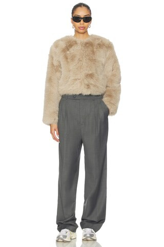 Crop Faux Fur Coat | Revolve Clothing (Global)