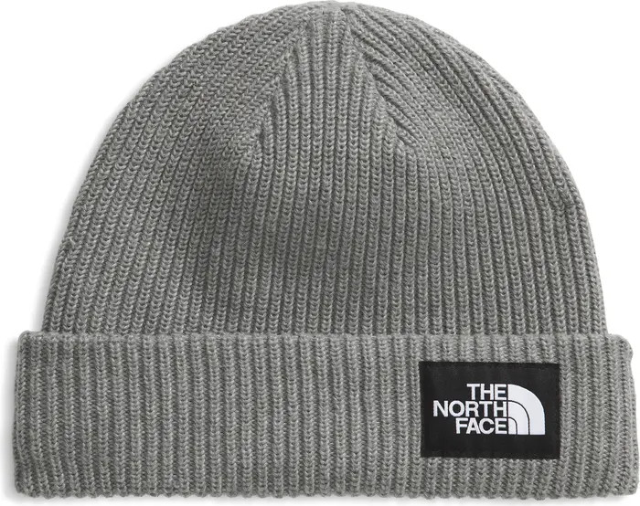 Salty Dog Beanie | Nordstrom