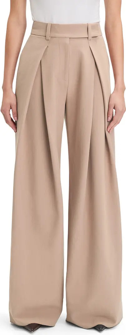 Pleated Wide Leg Pants | Nordstrom