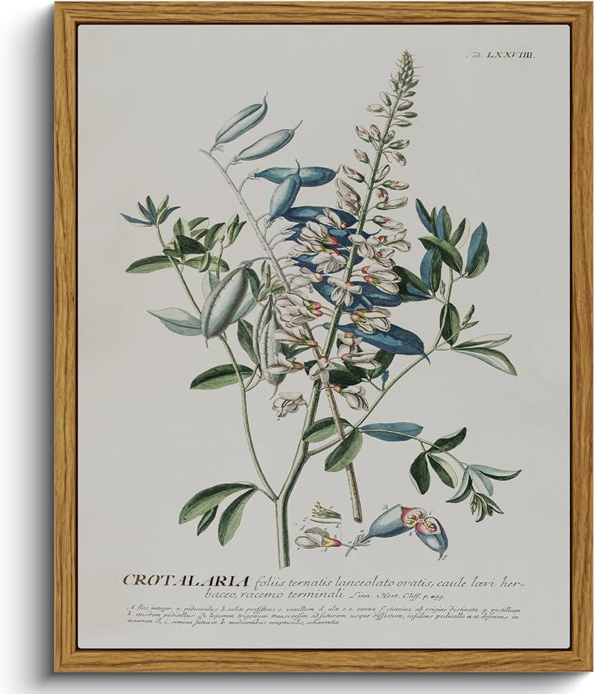 VIYYIEA Vintage Botanical Herb Bathroom Wall Art, Flowers Seeds Paingtings Wall Decor Aesthetic, ... | Amazon (US)