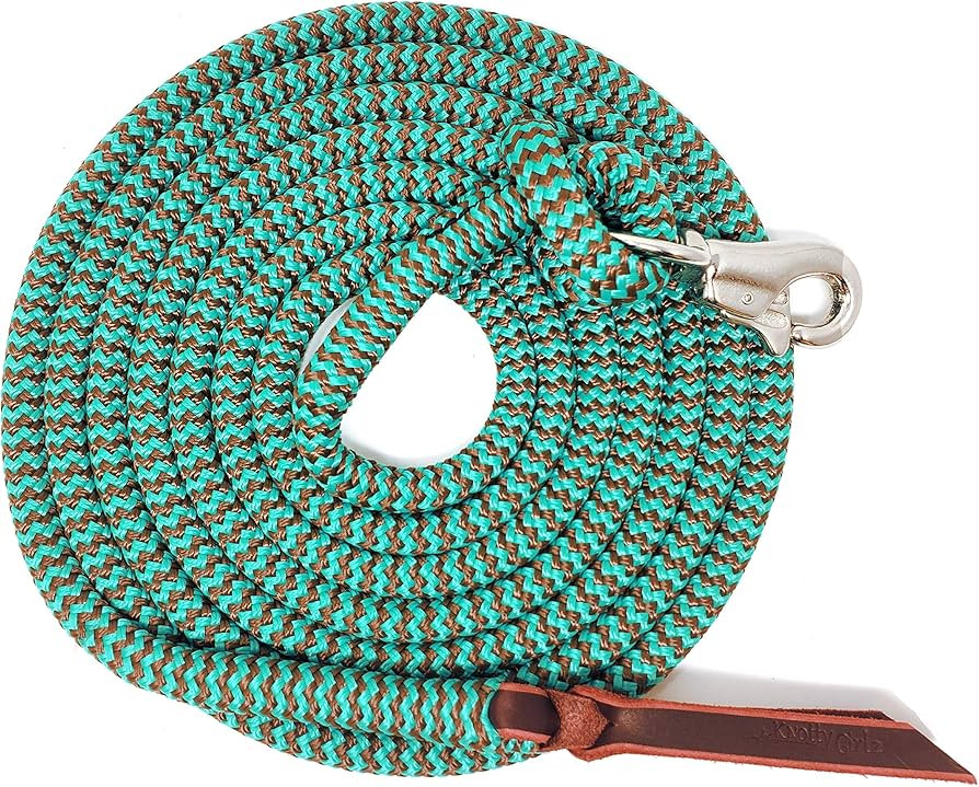 14FT Lead Rope with NP Snap | Amazon (US)