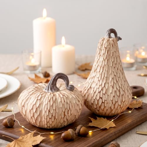 Resin Pumpkin Decor Set of 2, Brown and White Fall Decorations for Home, Small Faux Pumpkins for Rustic Fall Coffee Table Decor, Thanksgiving Halloween Centerpiece, Autumn Harvest Indoor Decoration | Amazon (US)