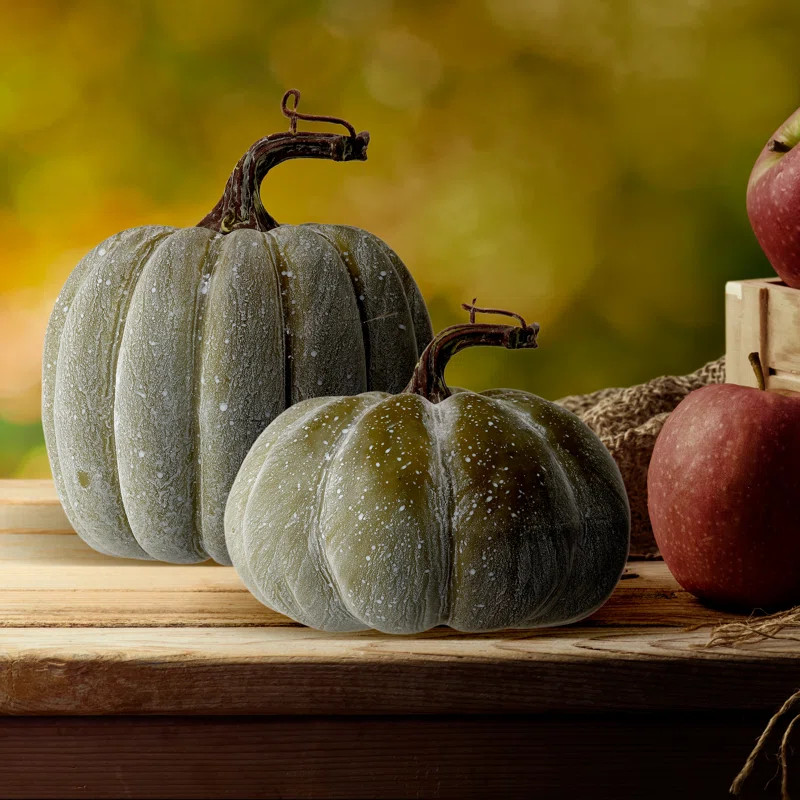 The Twillery Co.® 2 Piece Waterproof Weathered Pumpkin Set | Wayfair | Wayfair Professional