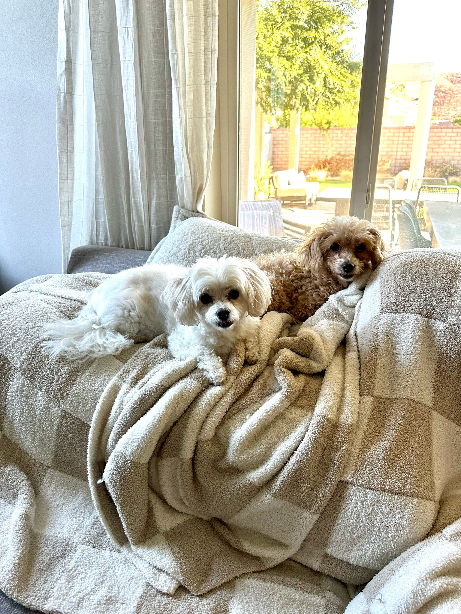 One of our family’s favorite blankets. Love the checkered print 😍

#LTKFamily #LTKHome #LTKFallSale