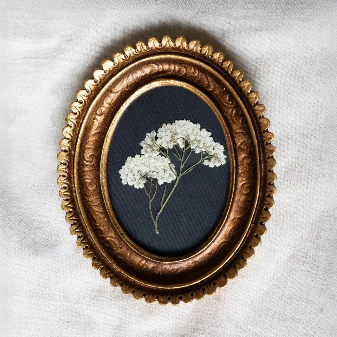 Pressed Dried White Flowers in Gold Scalloped Frame, Pressed Floral Wall Art, Framed Pressed Flow... | Etsy (US)