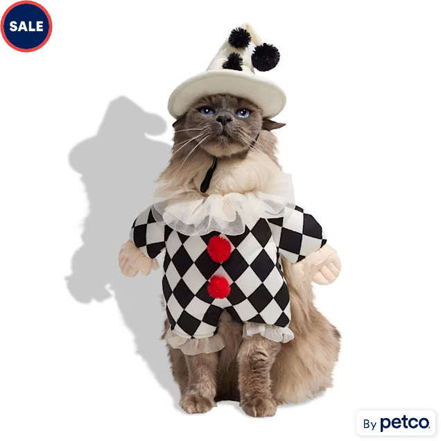 Bootique Clown 2-Piece Illusion Cat Halloween Costume, X-Small | Petco
