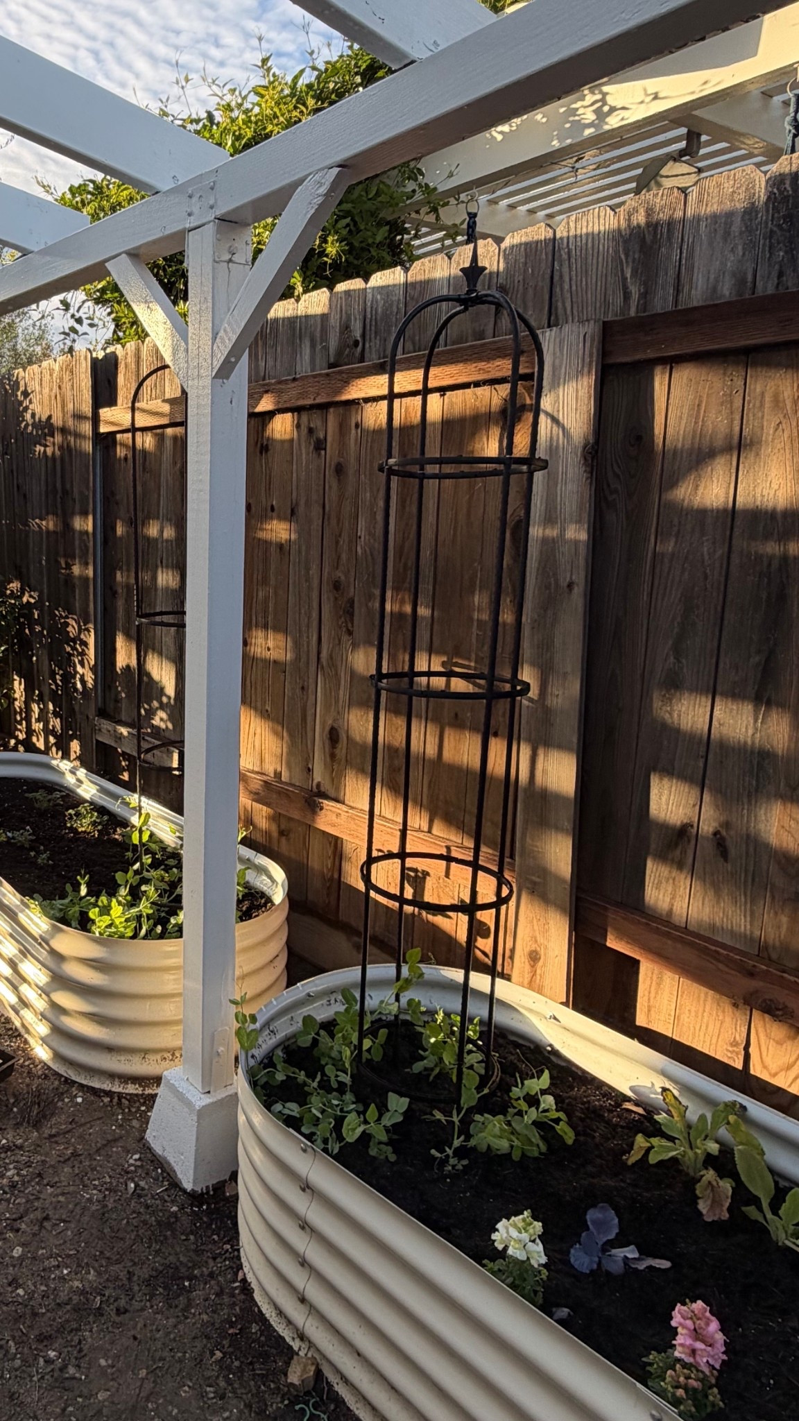 Trellis for my garden!!! 2 for $30🤍