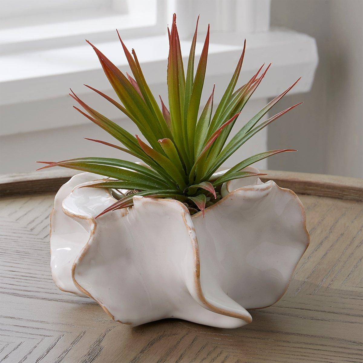 White Ceramic Urchin Vase | Shades of Light