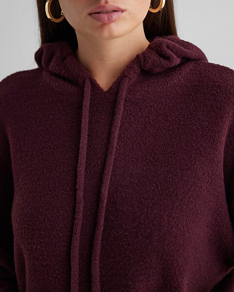 Plush Knit Hooded Sweater | Express