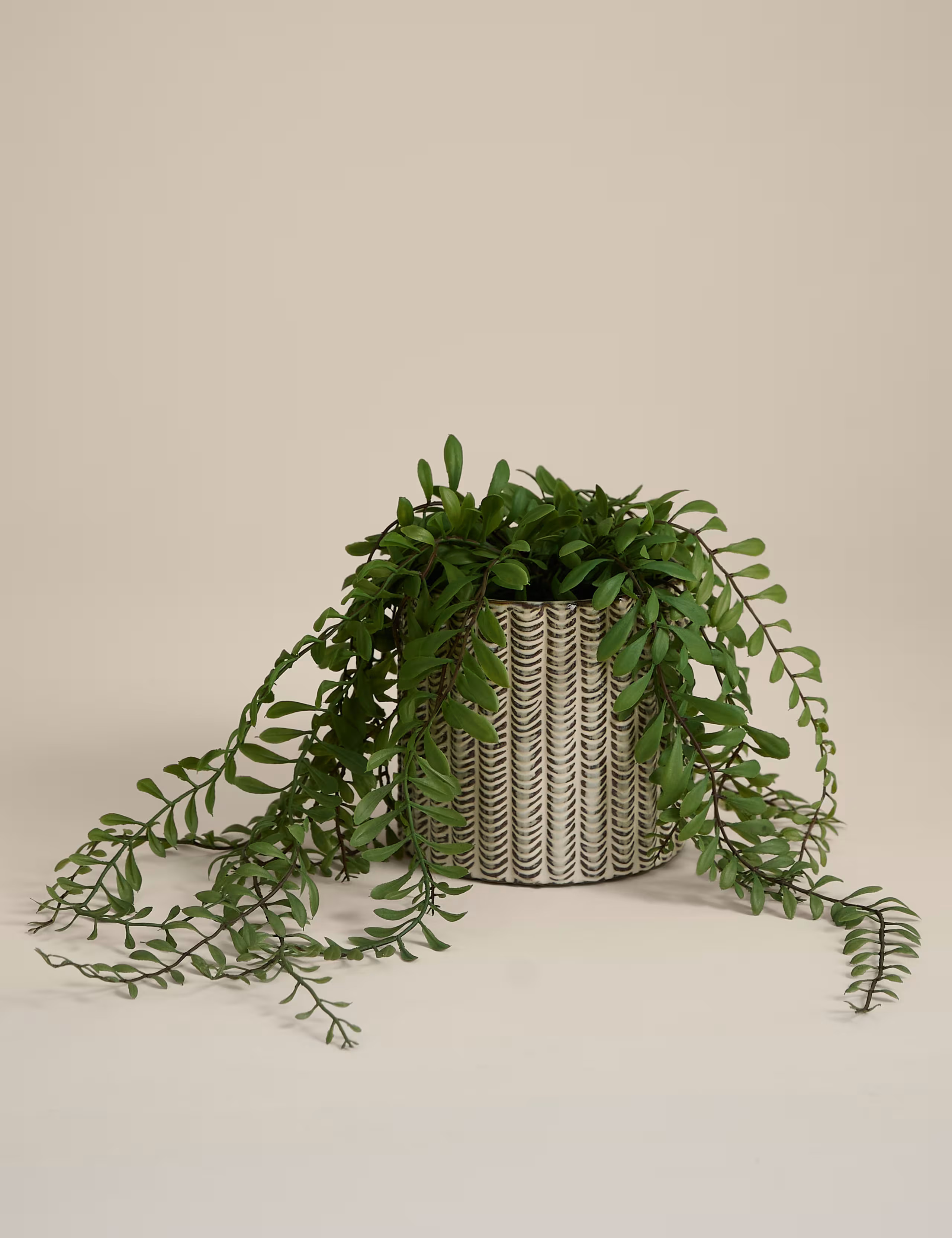 Artificial Trailing Fern in Ceramic Pot | Marks & Spencer (UK)
