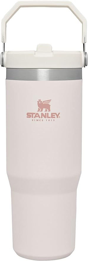 Stanley IceFlow Stainless Steel Tumbler with Straw, Vacuum Insulated Water Bottle for Home, Offic... | Amazon (US)