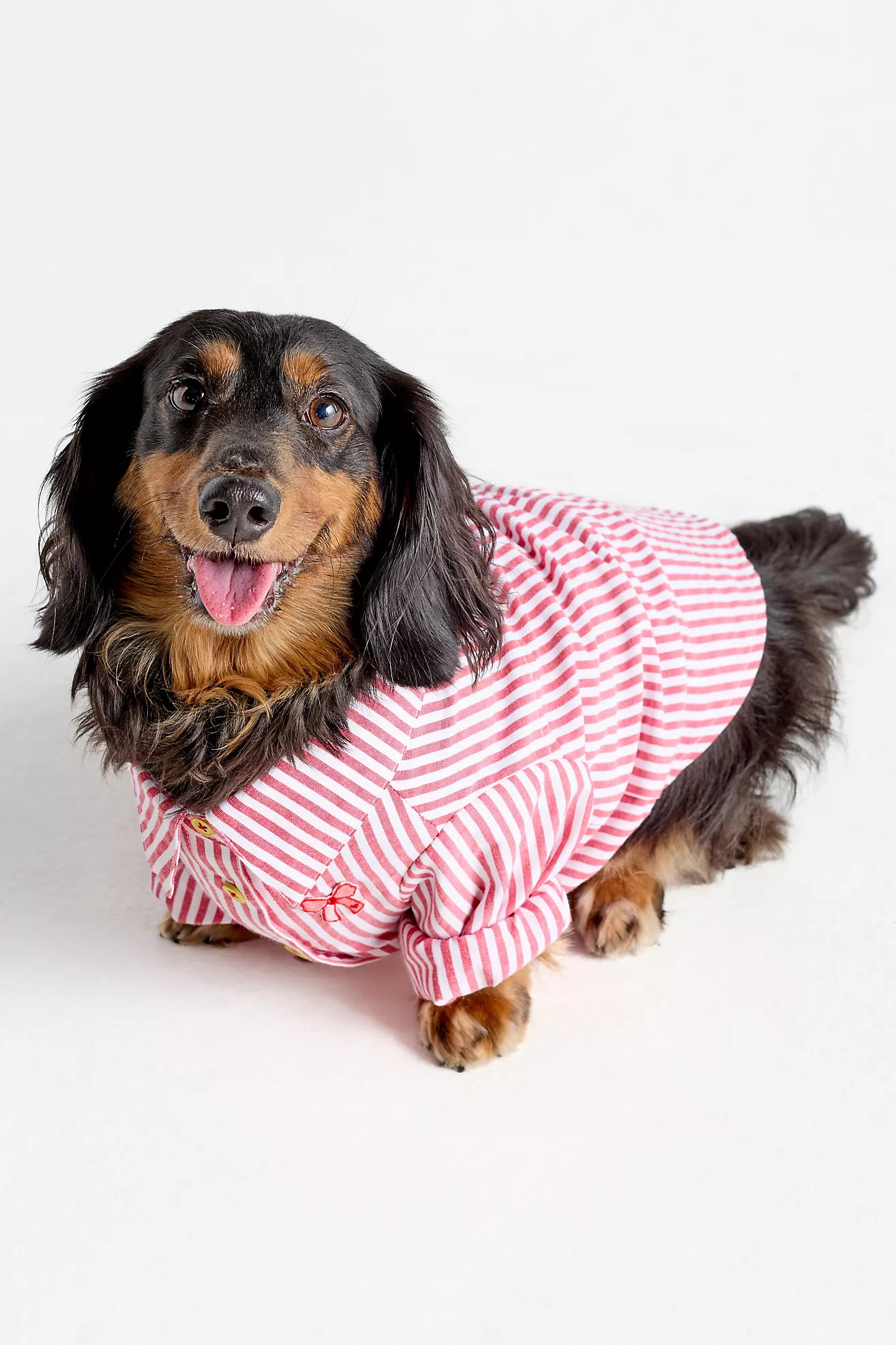 $46.00 | Anthropologie (US)