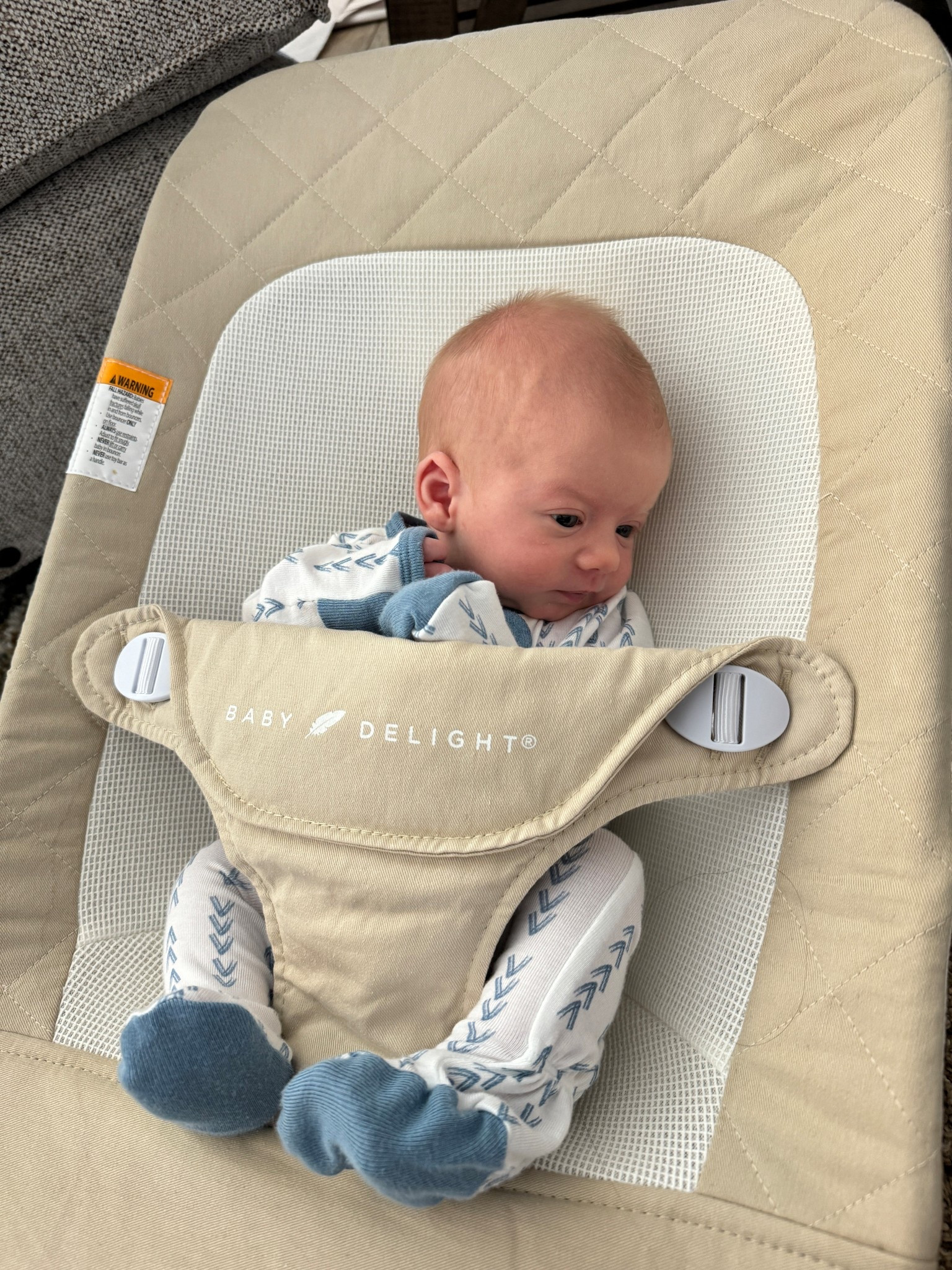 Baby Delight Bouncer

#LTKBaby #LTKFamily #LTKKids