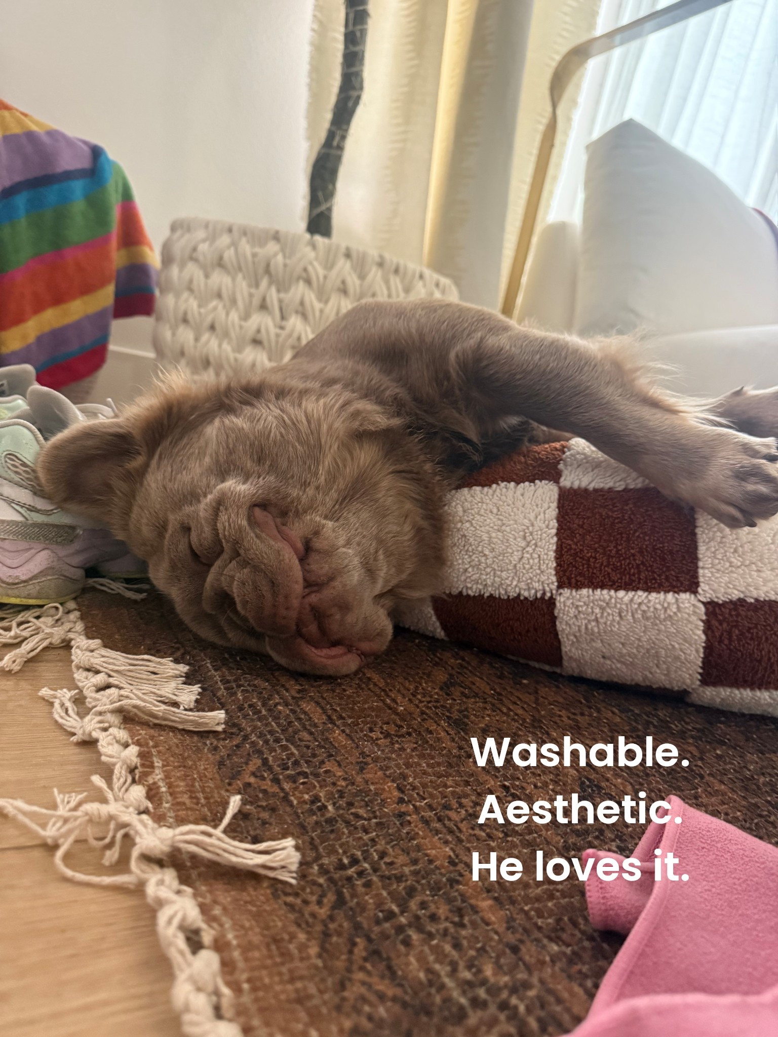 Washable and cute are two crucial things for me #aestheticpet #petbed #cutepetbed #pupplesupplies #pet 