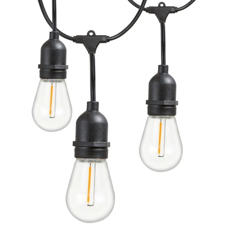 Burroughs48' Outdoor 15 - Bulb Standard String Light | Wayfair North America