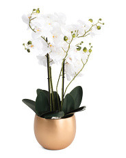 26.5in Real Touch Orchid In Cement Pot | Home | Marshalls | Marshalls