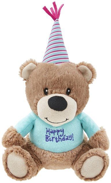 Frisco Plush Birthday Bear with Striped Hat Dog Toy | Chewy.com