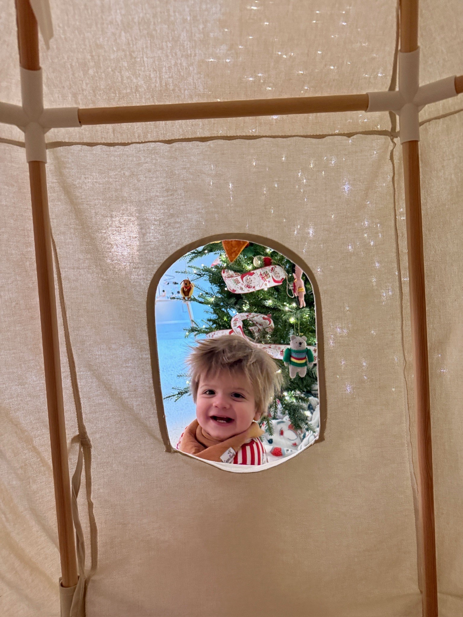 Coopy loves his play tent!

gathre, caden lane, caden lane finds, caden lane christmas, christmas pjs, bibs, play tent, christmas tree, pre-lit tree, Grace White

#LTKKids #LTKmomlife #LTKBaby