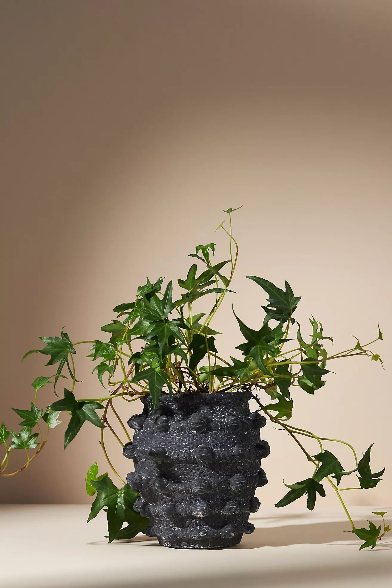 Minka Textured Pot | Anthropologie (US)