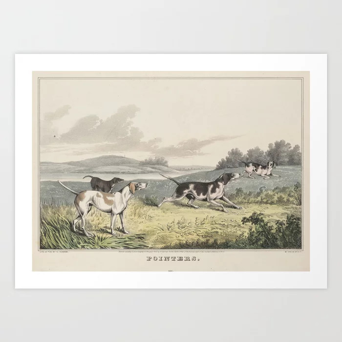 Vintage Illustration of Pointer Dogs (1846) Art Print | Society6