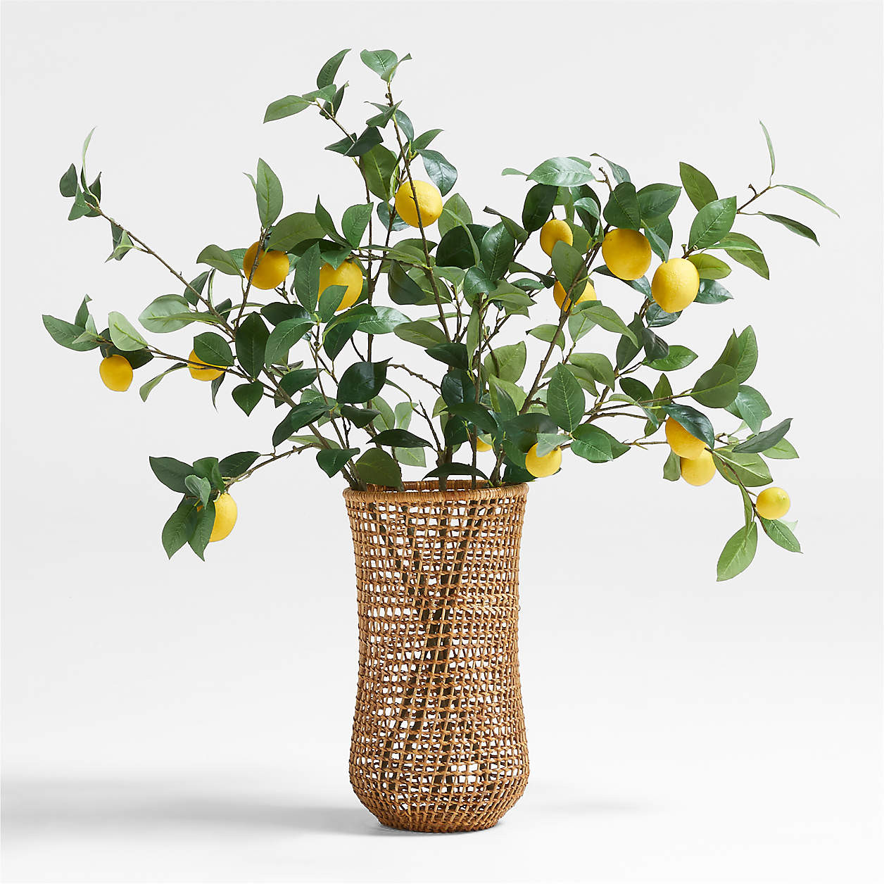 Faux Lemon Stem + Reviews | Crate & Barrel | Crate & Barrel