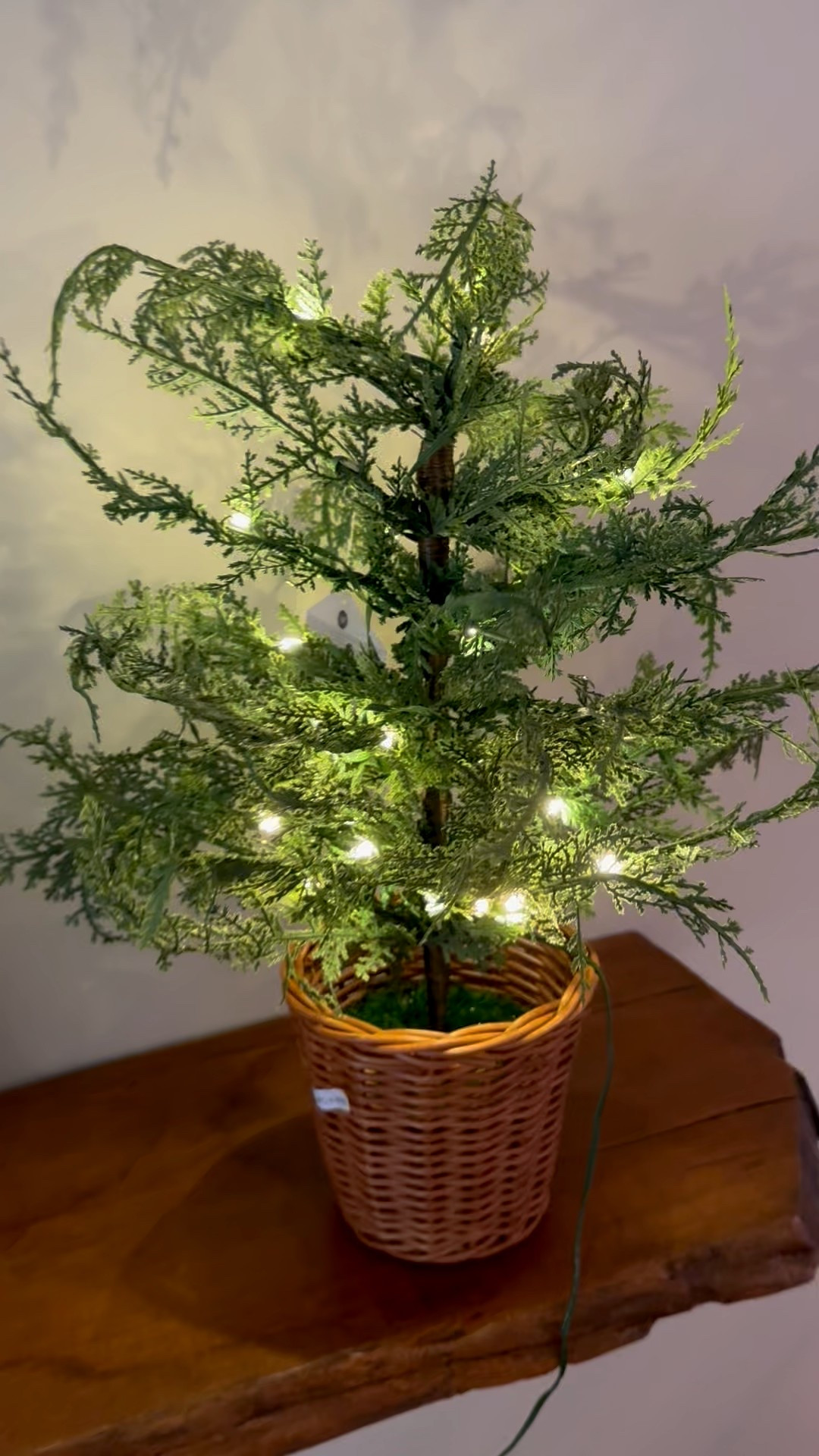 Cute little pre-lit tree!  

#LTKFindsUnder50 #LTKHome #LTKSeasonal