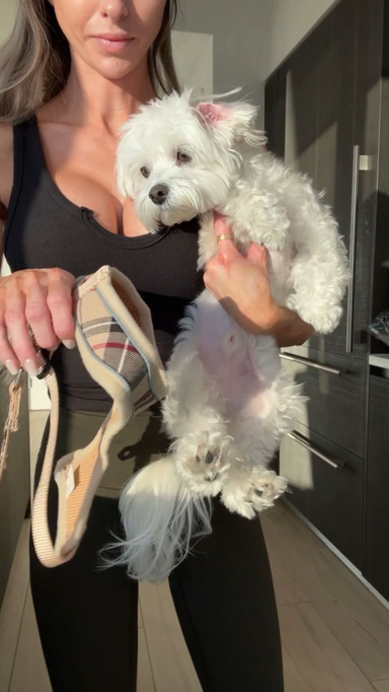 Dog harness (dupe) + press on nails! #amazonfinds #amazon

#pets #nails #dupe #dogharness #dog #puppy #sale 

#LTKPets #LTKU #LTKSaleAlert