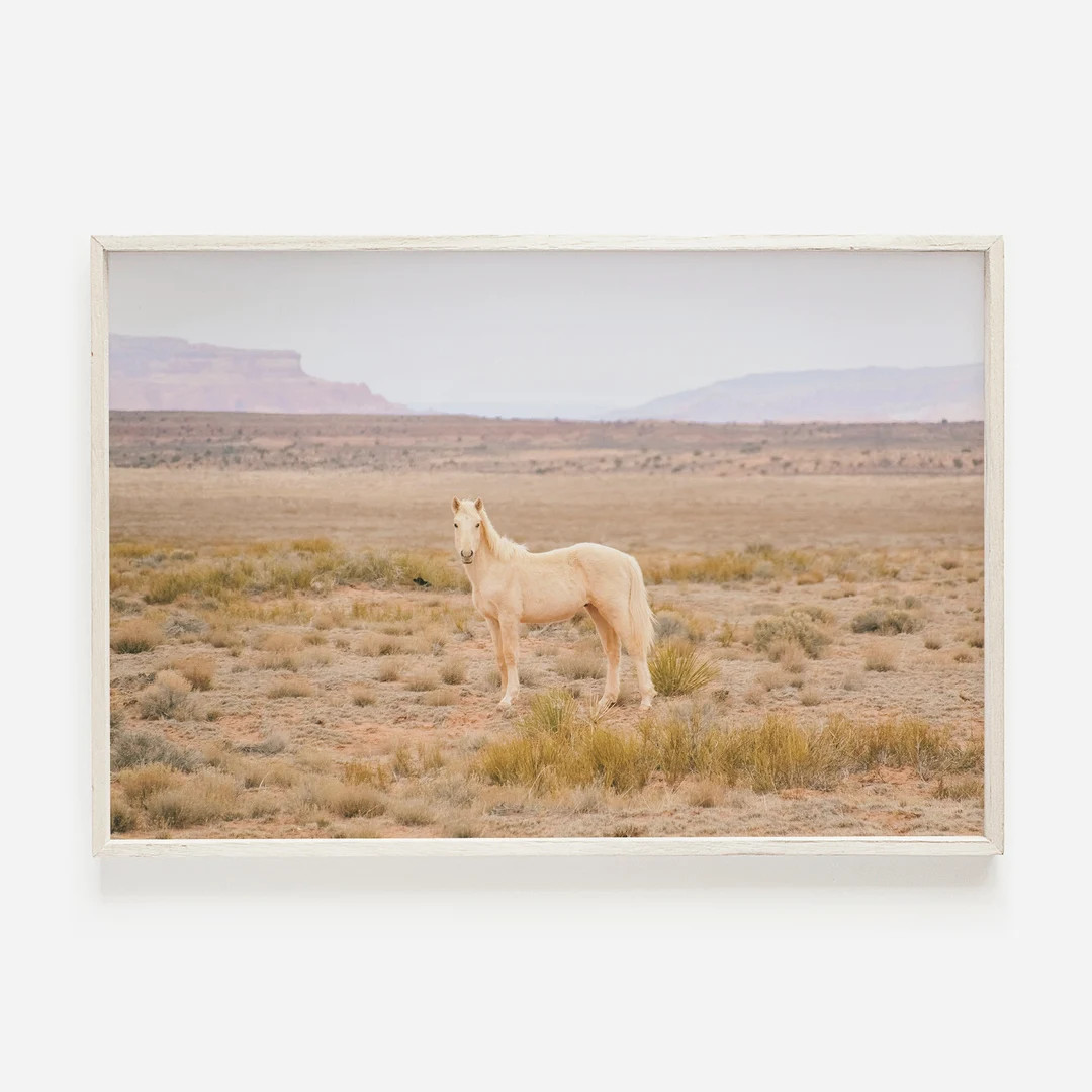 Palomino Desert Horse, Wild Horse in Utah, Desert Scenery, Open Range Photo, Blonde Horse Wall Ar... | Etsy (US)