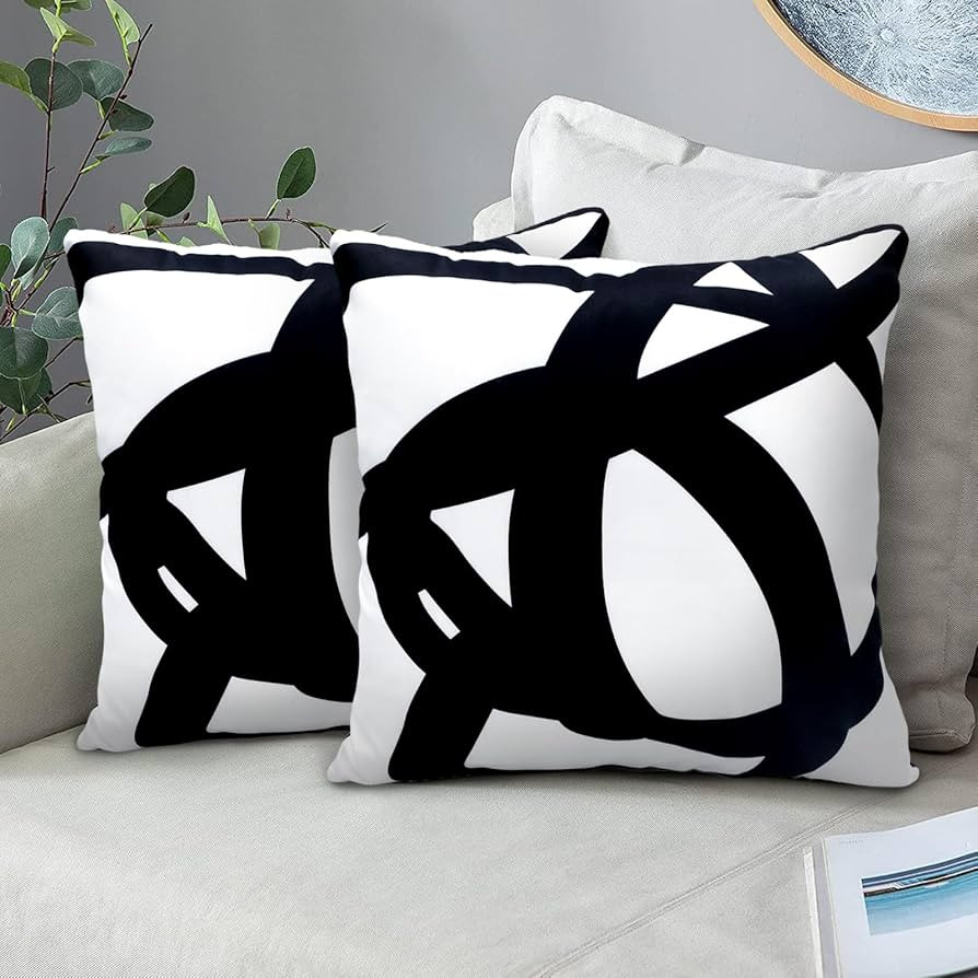 Set of 2 Black and White Boho Pillow Covers 18x18 Abstract Art Throw Pillow Covers Cushion Decora... | Amazon (US)