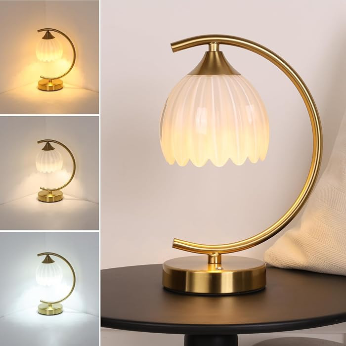 Tulip Table Lamp, 5200mAh Cordless Touch Control Table Lamp with 3 Color Temps & Stepless Dimming... | Amazon (US)