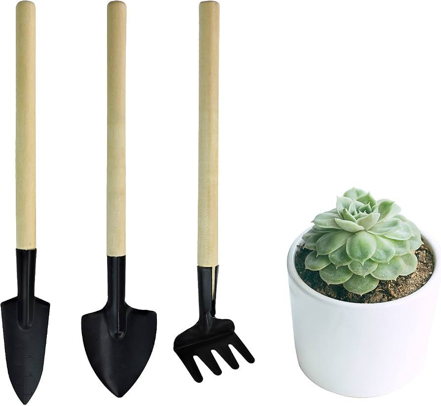 Andiker Mini Gardening Tools, 3pcs Portable Garden Hand Tools Set, Miniature Gardening Rake Trowe... | Amazon (US)
