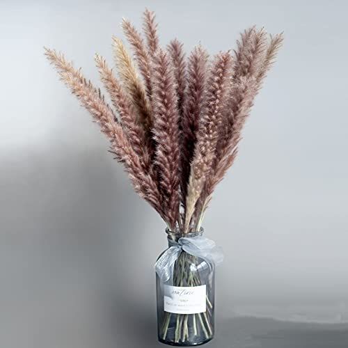 NICEFAN Natural Dried Pampas Grass 17Inch Tall 30Pcs Real Dried Reed Flower for Vase Flower Arran... | Amazon (US)