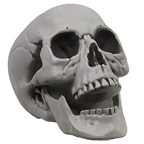 MOKRY PARTY Life Size Skeleton Skull for Halloween Decor Graveyard Outdoor White | Amazon (US)