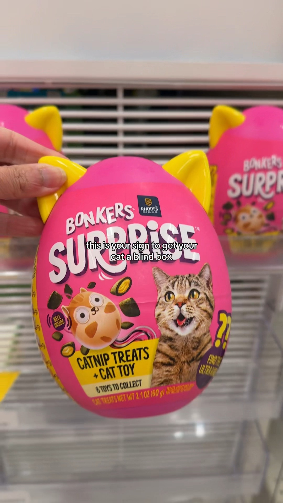 These are so fun! Treats + a surprise toy? Immediate yes!