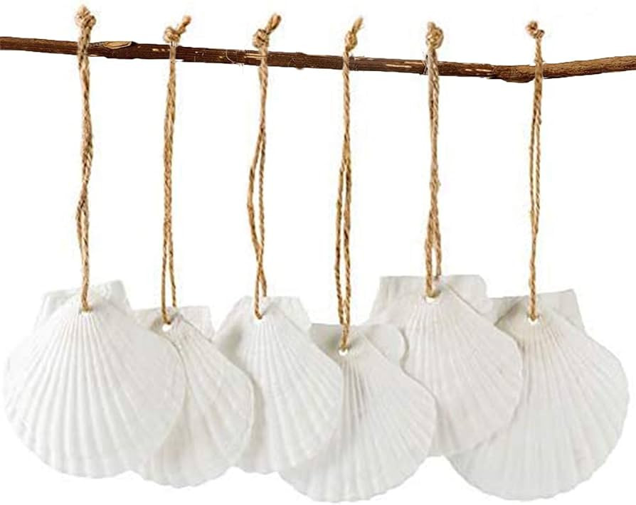 16PCS Natural Sea Shells 2.5"-3.5" Perforation Scallop Shells with Rope,for Christmas Tree Orname... | Amazon (US)