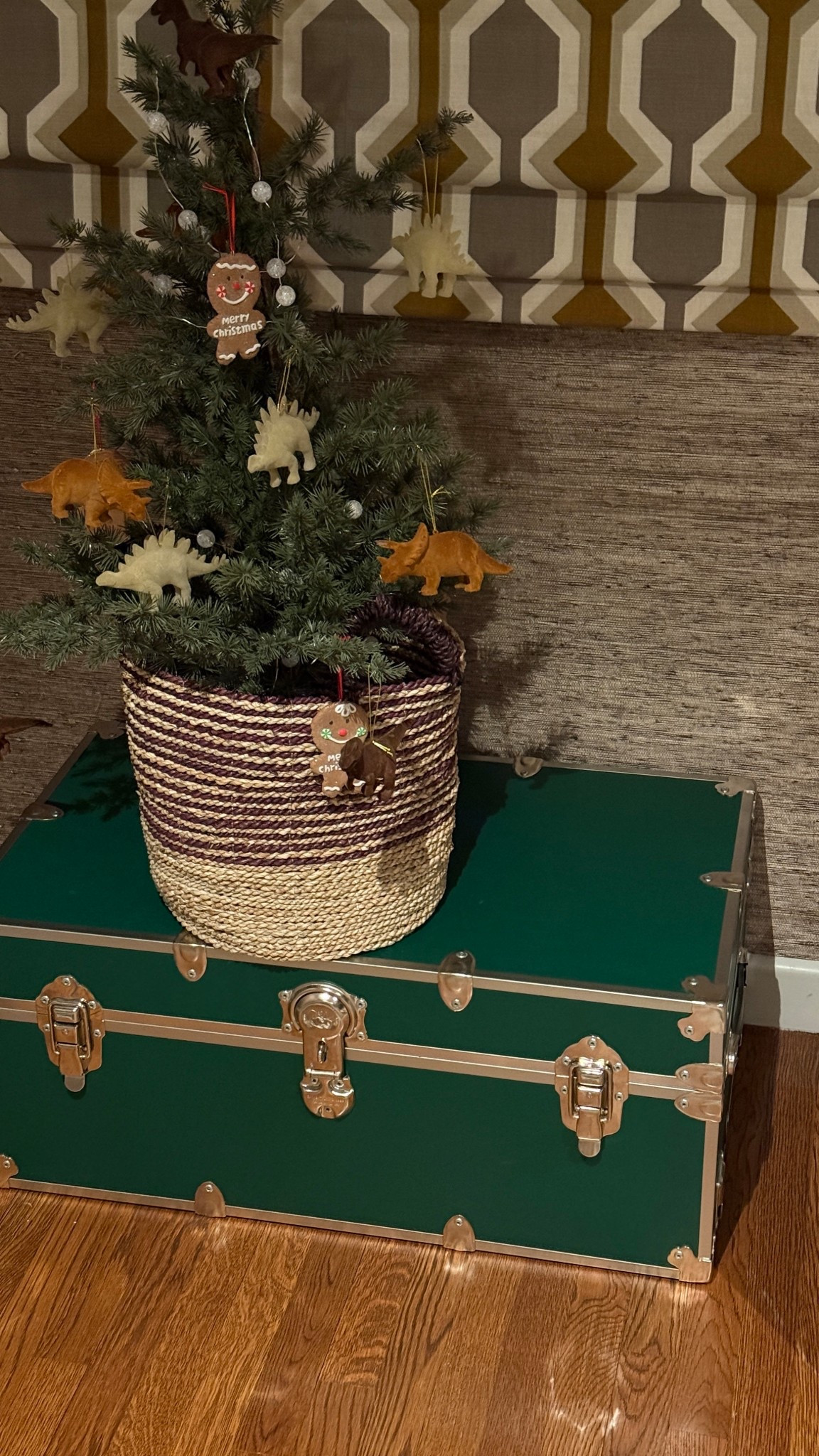 Memory trunk for kids 

#LTKHome #LTKBaby #LTKKids