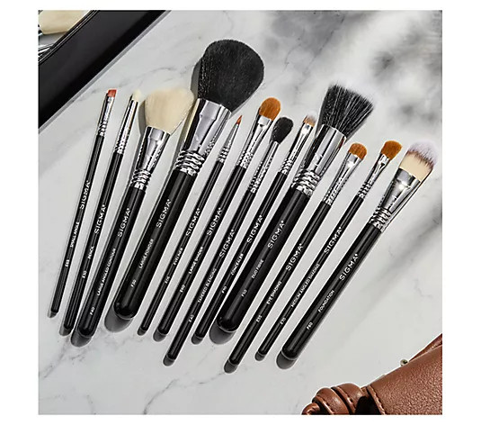 Sigma Essential Brush Set - QVC.com | QVC