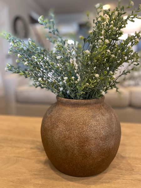 This beautiful vase is sold at Hobby Lobby as well as the faux flowers.  However, there are similar affordable options online.  

Faux white flowers.  Brown vase.  Distressed vase.  Terracotta vase.  Distressed terracotta vase.  

#LTKHome #LTKStyleTip #LTKFindsUnder50